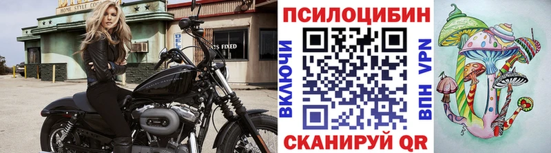 кракен ссылки  Гурьевск  Галлюциногенные грибы прущие грибы 